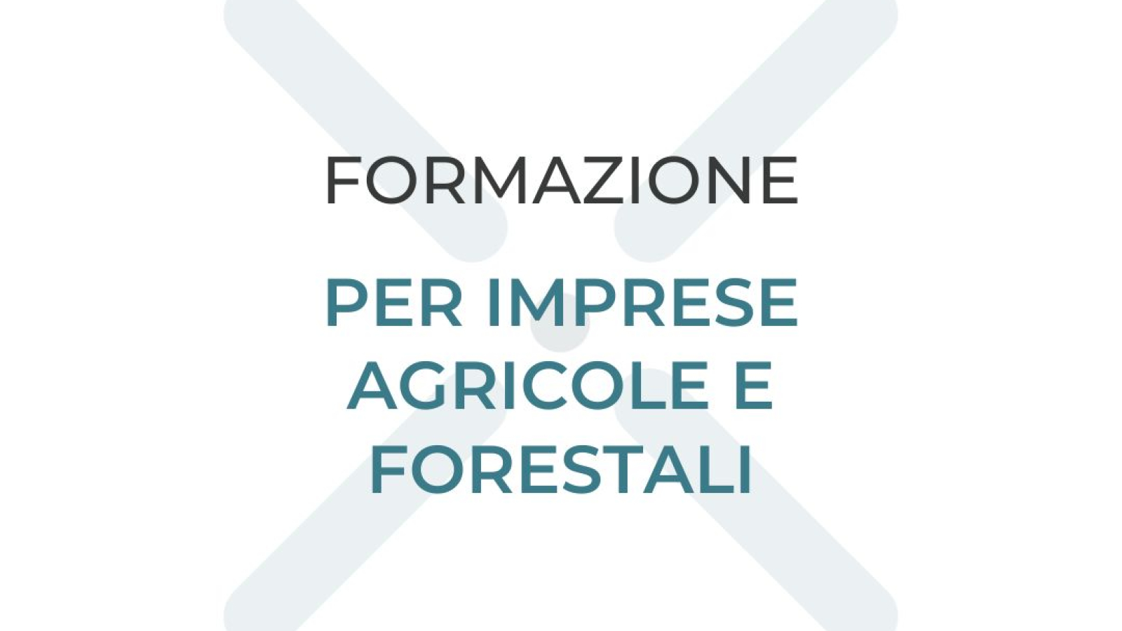 avviso-bando-formazione-per-imprese-agricole-e-forestali